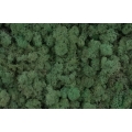 MECH Chrobotek Reniferowy (7.Mint Green) 5 kg
